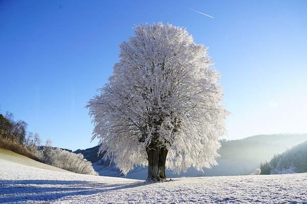 Quelles sont les activités incontournables de la Suisse romande ?